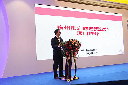 宿州市政府金融辦主任李峰作項目推介